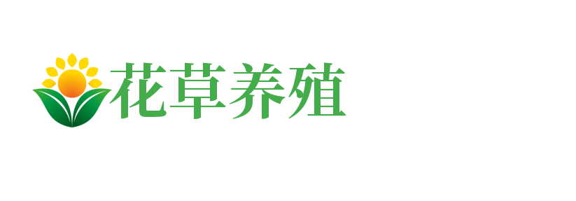 海南省三沙市西沙群岛曼考传电路维修有限合伙企业